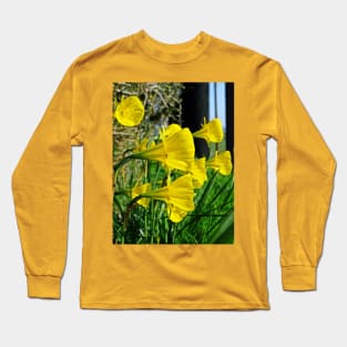 Golden Bells Long Sleeve T-Shirt